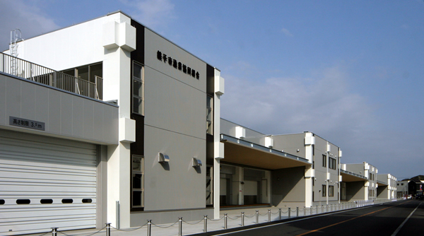 魚市場見学イメージ