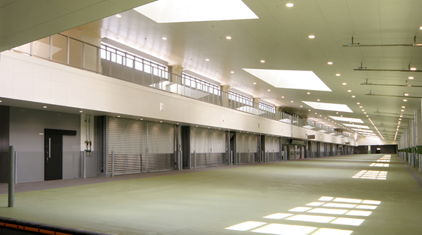 魚市場見学イメージ