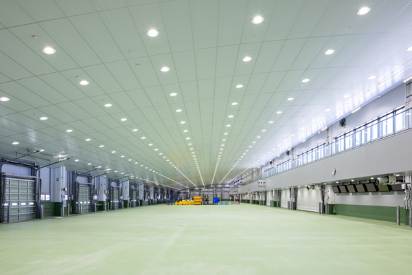 魚市場見学イメージ